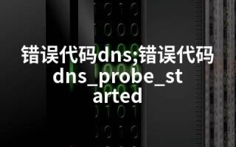 错误代码dns;错误代码dns_probe_started