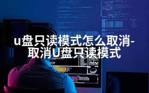u盘只读模式怎么取消-取消U盘只读模式