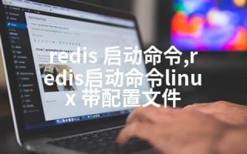 redis 启动命令,redis启动命令linux 带配置文件