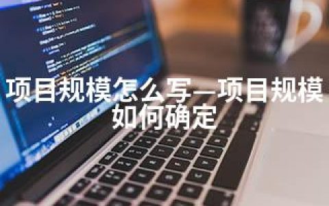 项目规模怎么写—项目规模如何确定