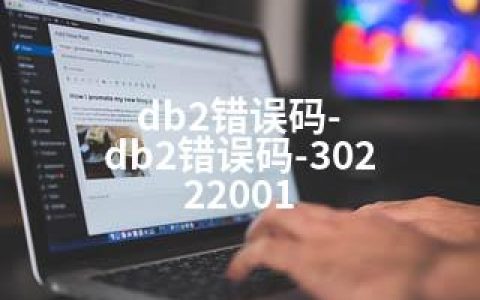 db2错误码-db2错误码-302 22001