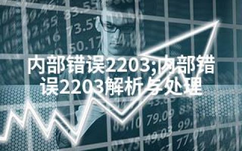 内部错误2203;内部错误2203解析与处理