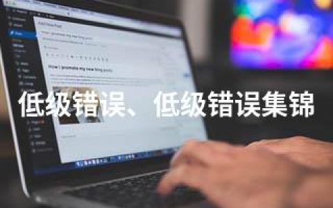 低级错误、低级错误集锦