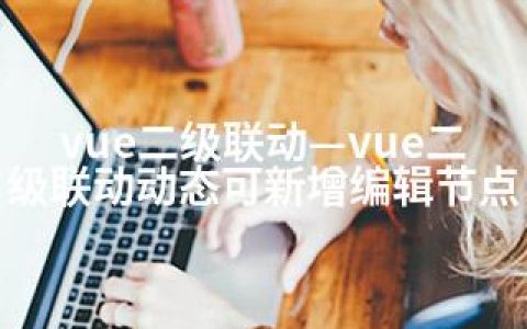 vue二级联动—vue二级联动动态可新增编辑节点