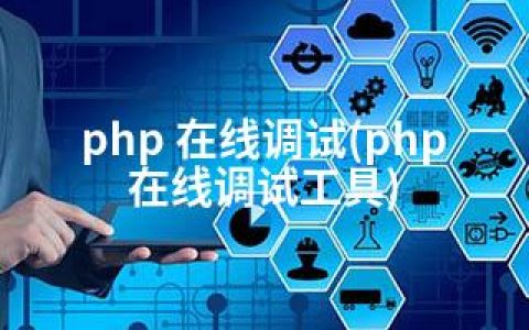 php 在线调试(php在线调试工具)