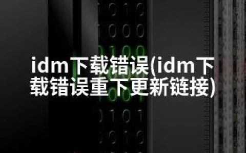 idm下载错误(idm下载错误重下更新链接)
