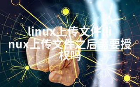 linux上传文件;linux上传文件之后需要授权吗