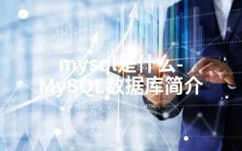 mysql是什么-MySQL数据库简介