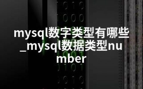 mysql数字类型有哪些_mysql数据类型number