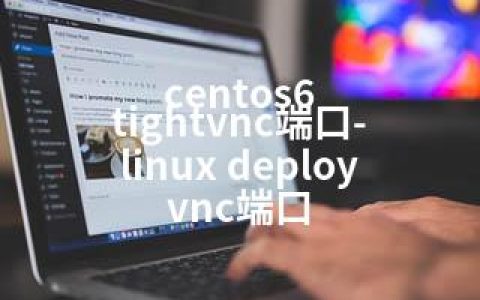 centos6 tightvnc端口-linux deploy vnc端口