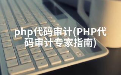 php代码审计(PHP代码审计专家指南)