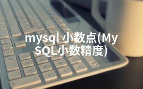 mysql 小数点(MySQL小数精度)