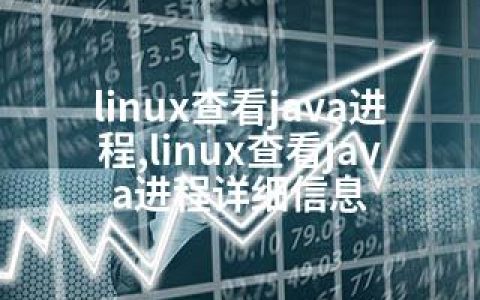 linux查看java进程,linux查看java进程详细信息