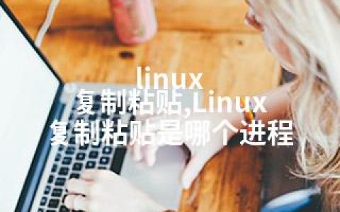 linux 复制粘贴,Linux 复制粘贴是哪个进程