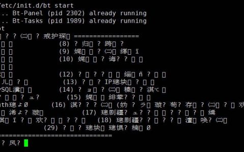 宝塔面板终端显示乱码怎么解决？可以修复吗？