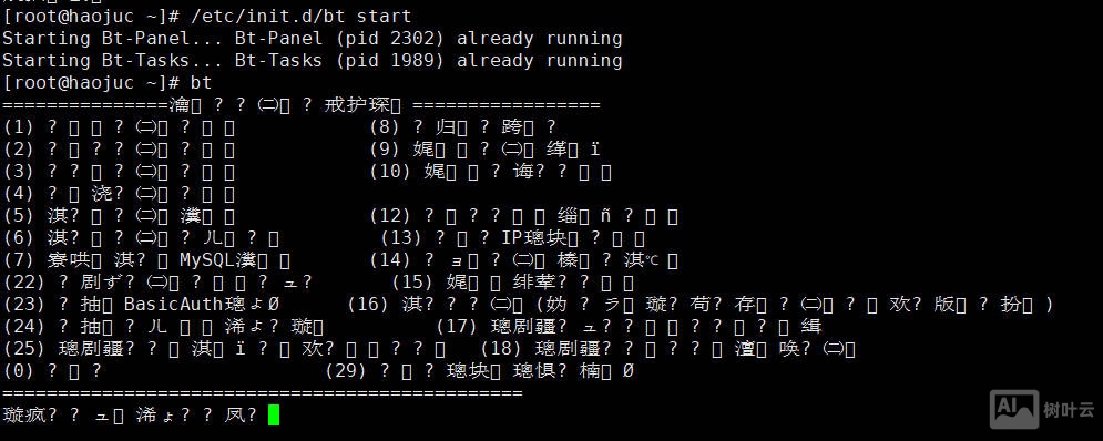 宝塔面板终端显示乱码怎么解决？可以修复吗？