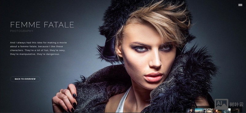 Slider Revolution是一个非常强大的幻灯片插件