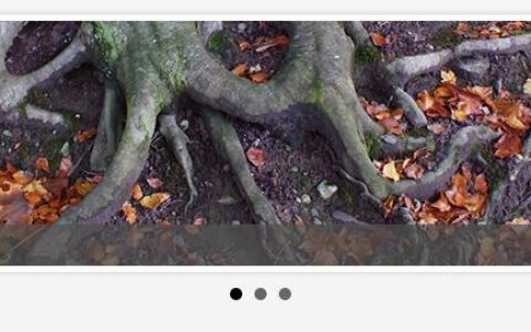 分享一个JQuery的响应式内容滑块插件—bxSlider