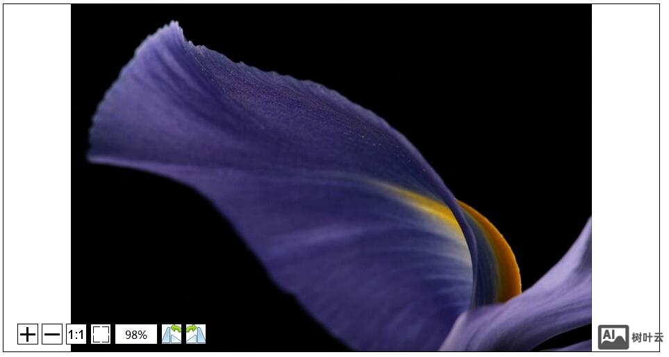JQuery iviewer是查看JQuery图像的一个很好的工具