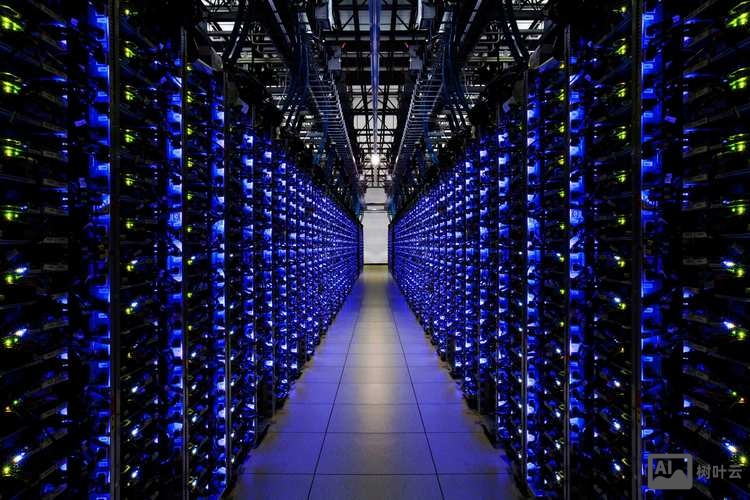 公司建网站搭建服务器