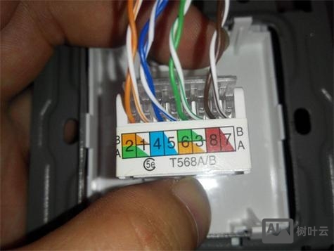 utf8在网络中是如何传输的