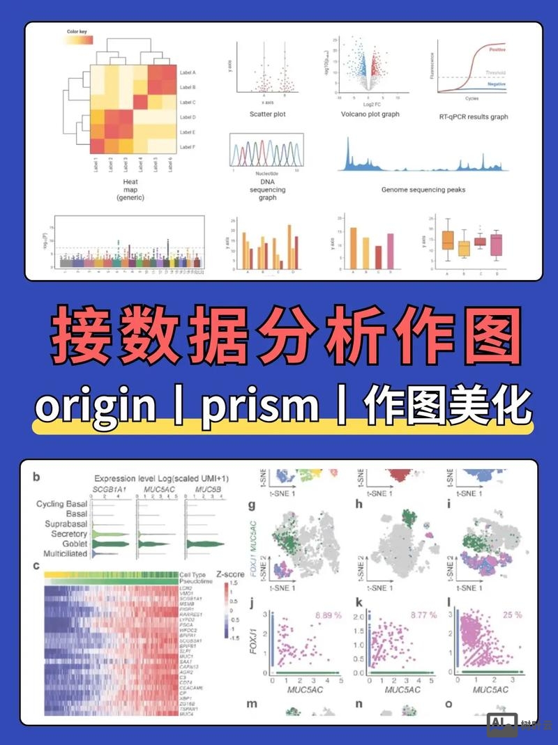html5如何用canvas绘制柱形图