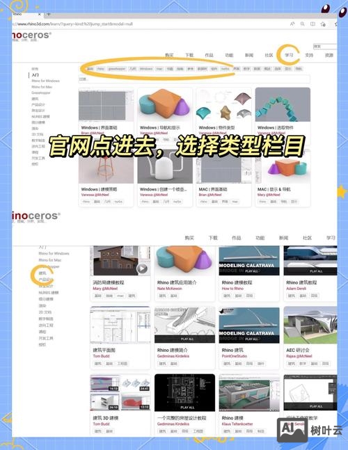 搭建网站需要学什么软件