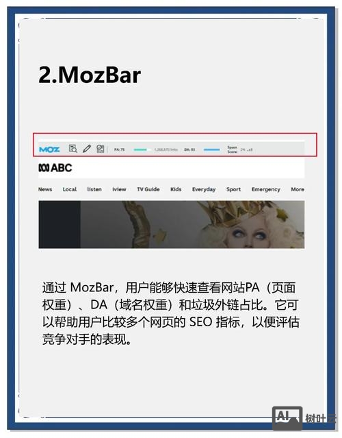 搭建网站是seo的入门