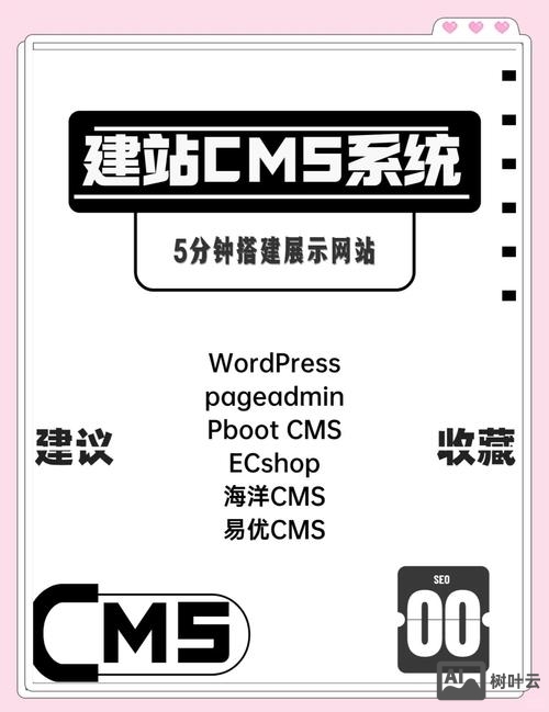 怎么自己搭建网站主机