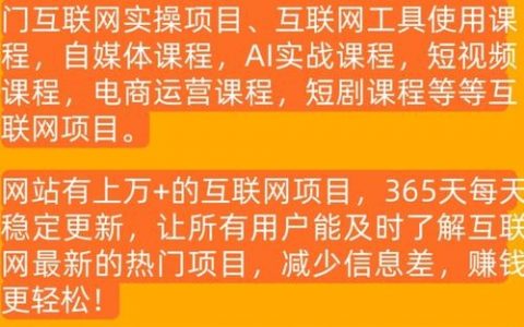 搭建网站的项目经验