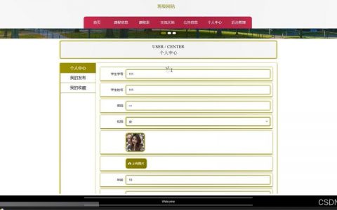 如何一个空间放两个网站