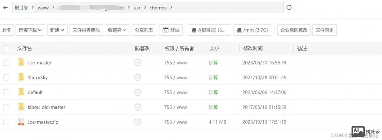 搭建网站放在什么目录