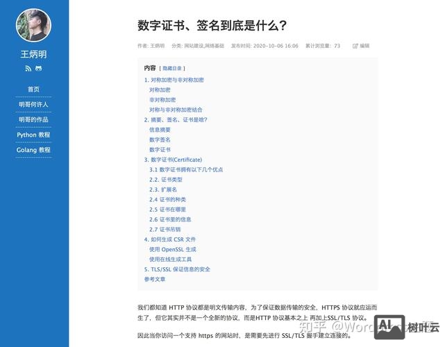 搭建网站放在什么目录