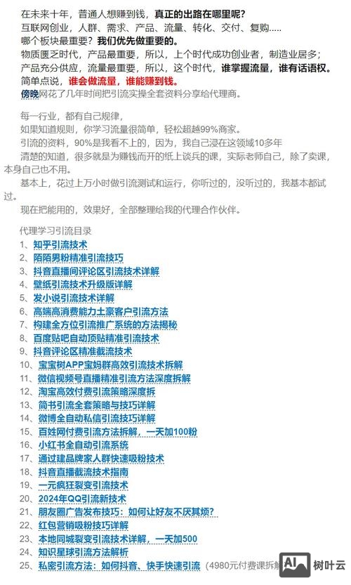 搭建网站放在什么目录
