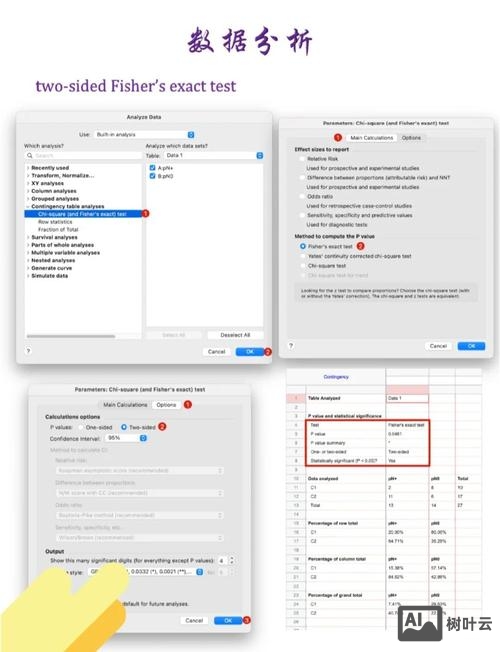 如何做出css百分比图