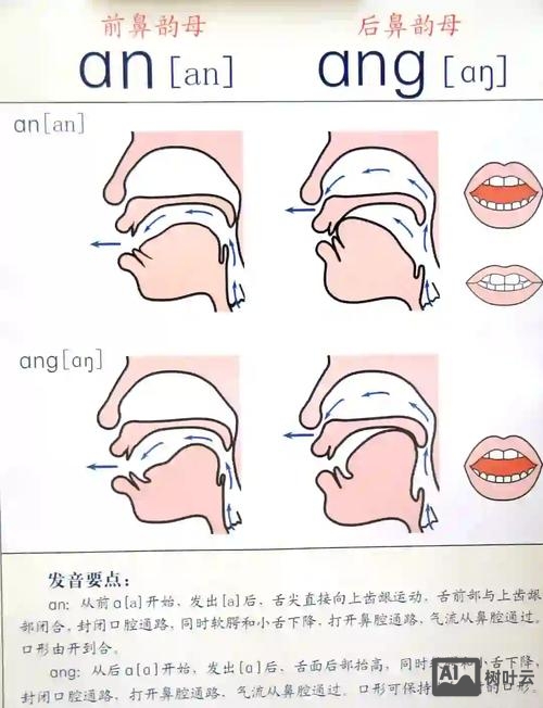 ton9ton9的声音如何写
