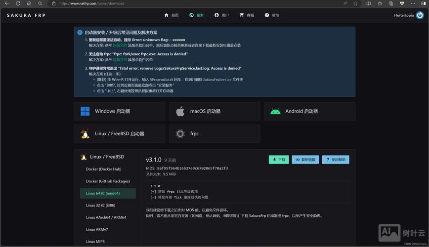 搭建网站后的网址