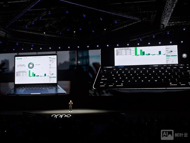 OPPO网络营销平台的搭建