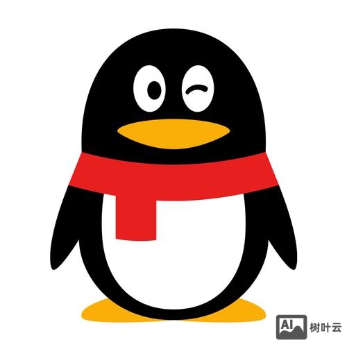 怎么样搭建qq号网站