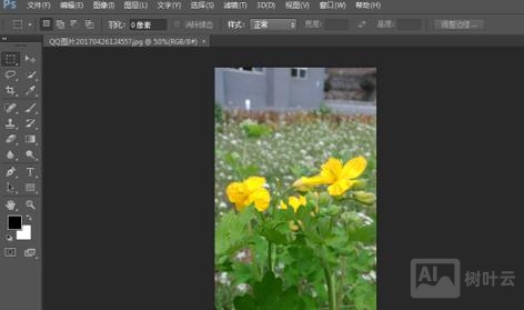 ps cs6 如何把图片背景变为黑色