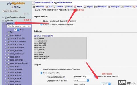 dede搭建视频播放服务器