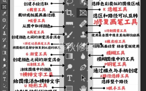 如何让临摹的图片在ps旁边显示