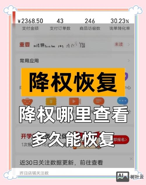 百度降权后如何处理
