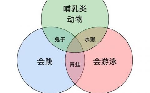 如何让小孩子理解韦恩图