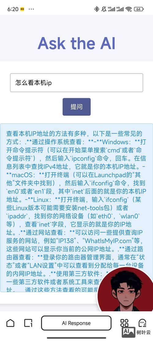搭建网站访问全是文字