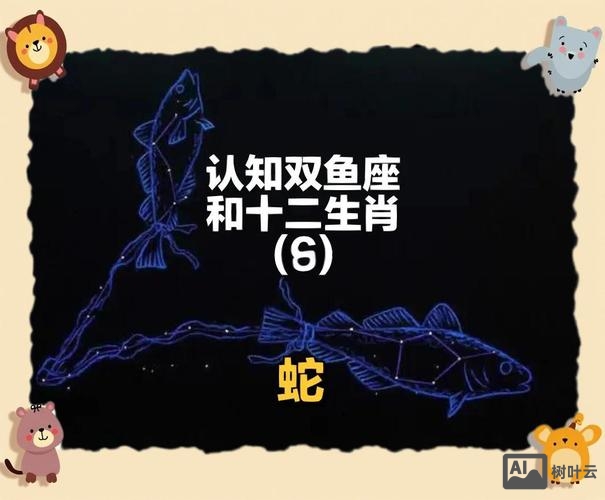 属蛇的双鱼座人性格如何