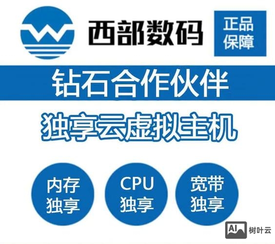 西部数码的vps云主机如何访问网站