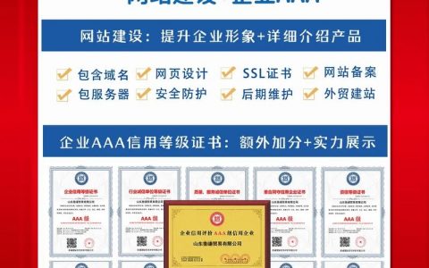 专业企业网站搭建厂家