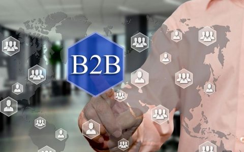 垂直b2b平台搭建