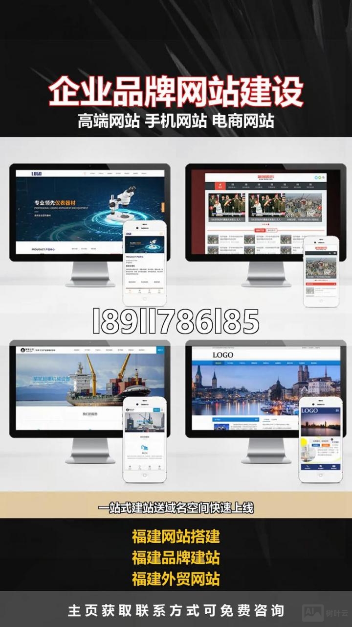 除了dz论坛还能搭建什么网站